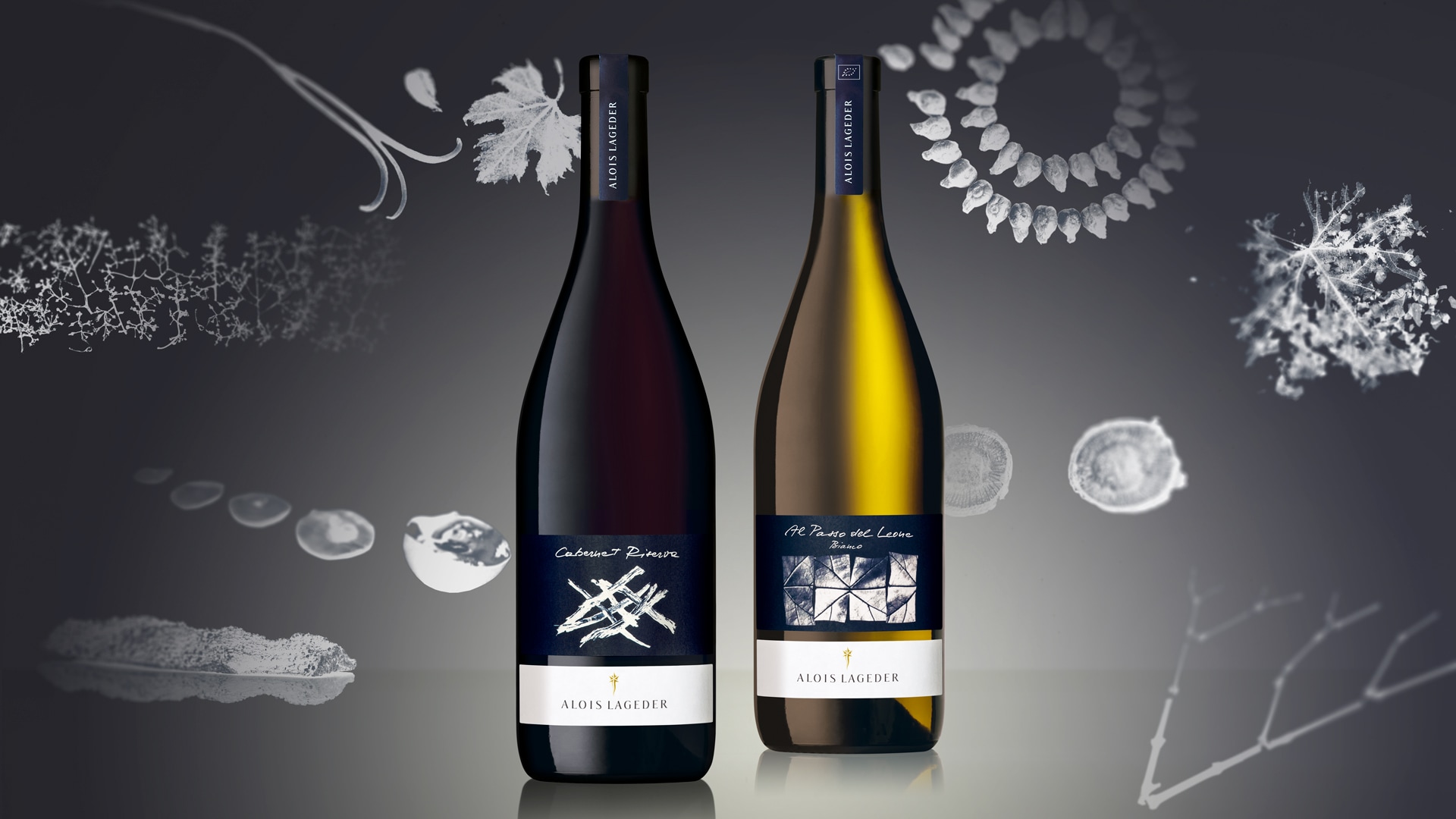 Alois Lageder Classici 2019 packaging