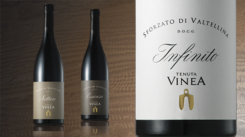 Tenuta Vinea