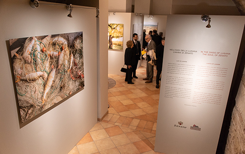 Mostra L'oasi della Lugana, l'anima di Zenato